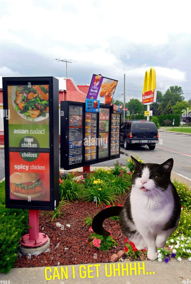 Brick_MoJo's tweet photo. May your Monday be tolerable - Believers, take some of his Power if you need. #MagicalJobcat https://t.co/U6pNhZcBvr