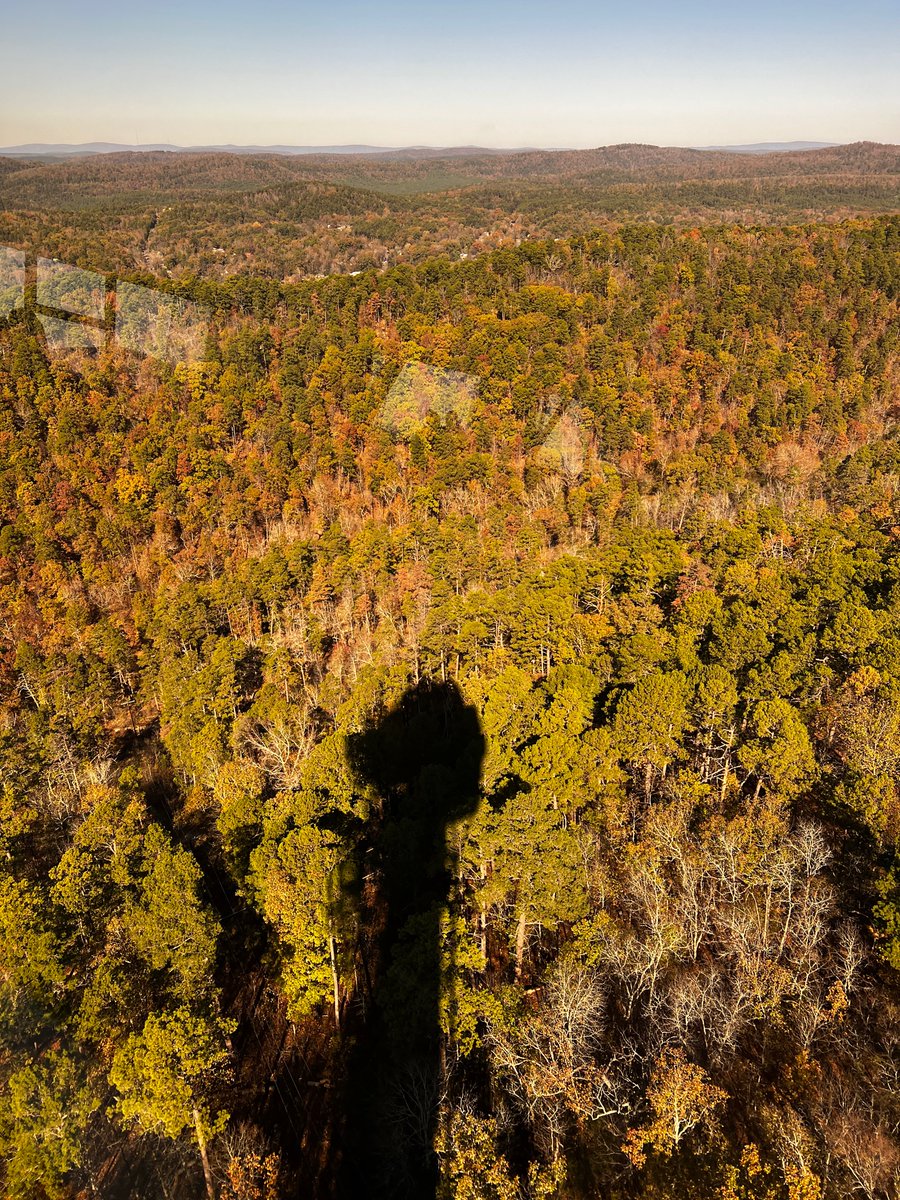 GCCDaemon's tweet photo. Had my first trip to Hot Springs Arkansas. It was beautiful, quiet, quaint, and I thank goodness I didn't hear banjos in the distance! 🤣 Here are a few pictures I took, enjoy! https://t.co/cZf7jTB32E