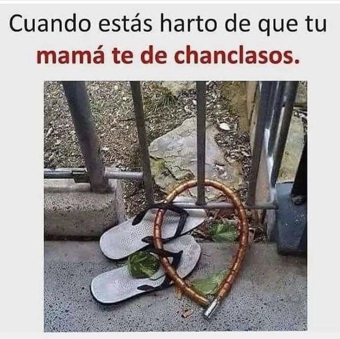 💙💜Berny🐶🐱🇨🇱 tweet media