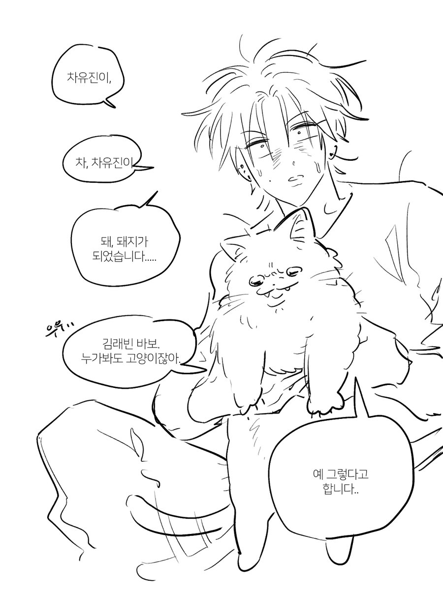 돼지고양이