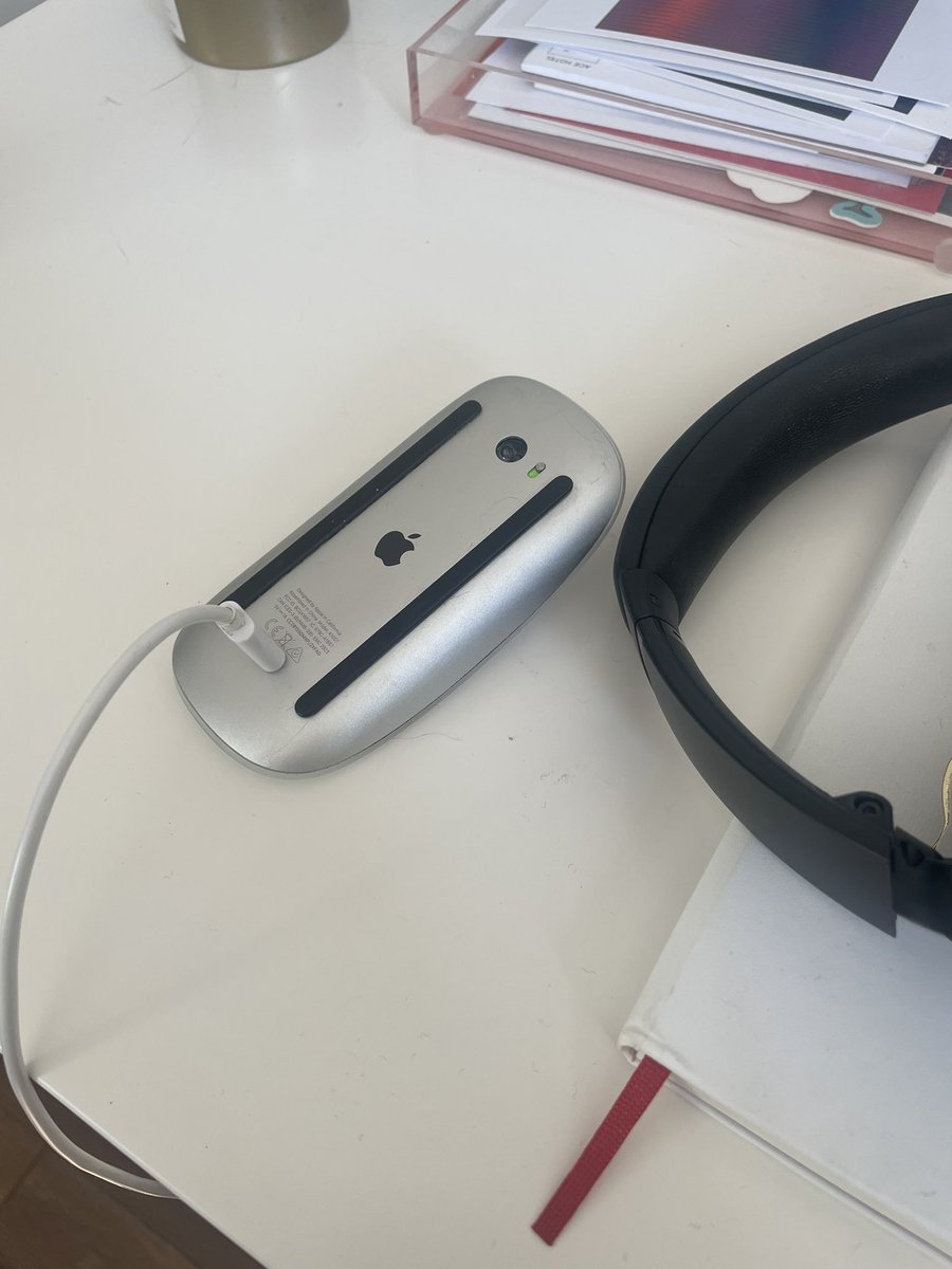 Ally MacDonald tweet media