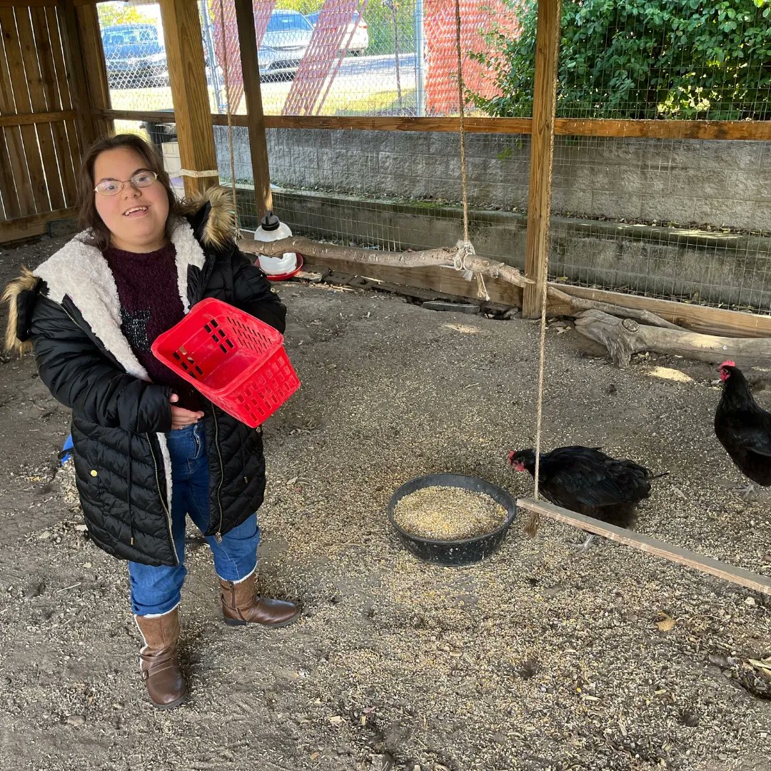 FriendsLifeCom1's tweet photo. We have a new #servicelearning class! The @mcneillycenter is a preschool that provides early care &amp; education.

The Friends play and read with the kids, prepare activities, clean the spaces, and even feed the chickens in their outdoor classroom! #earlychildhoodeducation https://t.co/2cJjCKX2v3