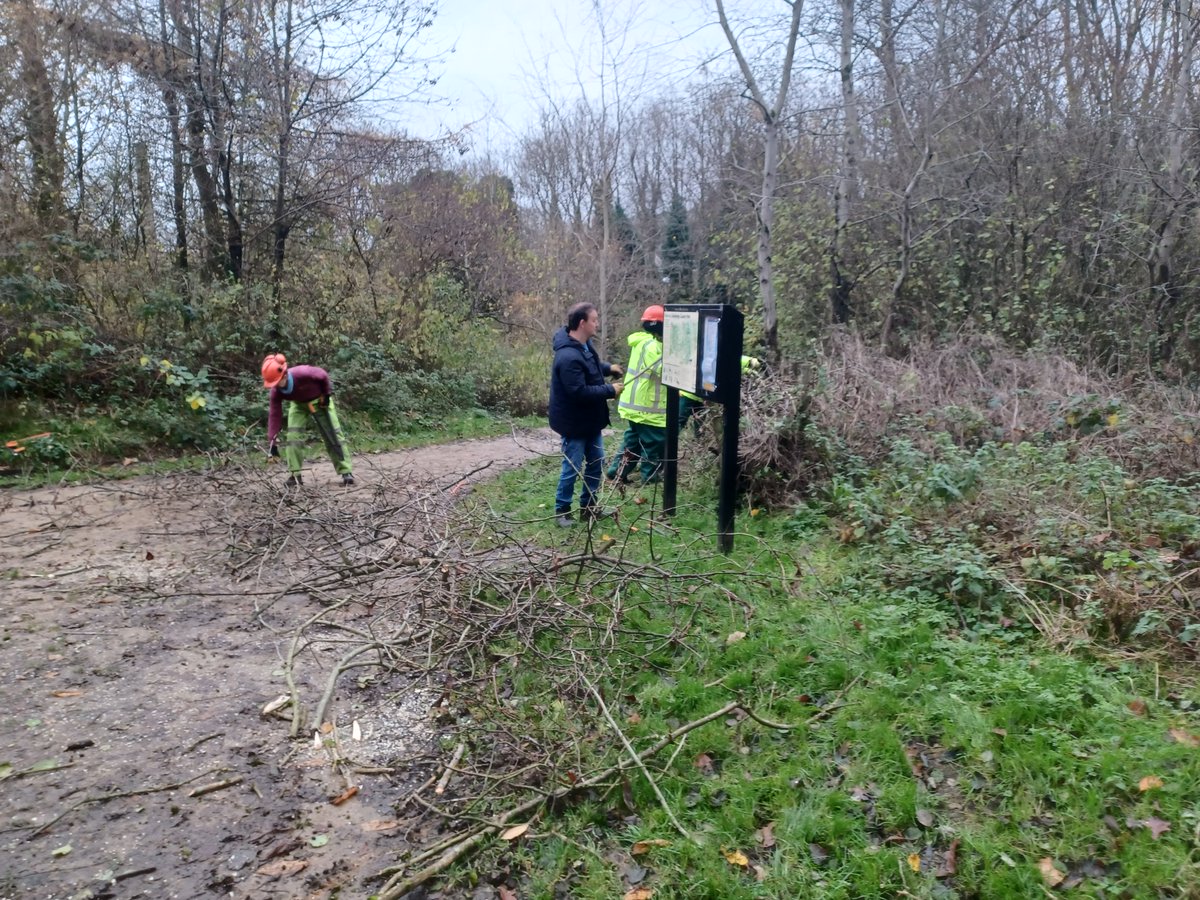 Tameside Place on Twitter "Greenspace staff and volunteers pruning