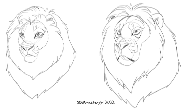 Found some lion images on insta that made for some good references. 