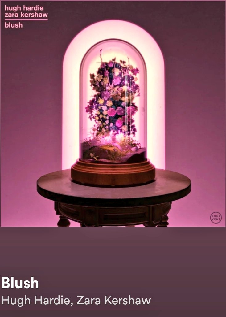 Our New Favourite Tune tweet media