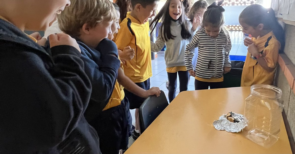 ELobsenz's tweet photo. No better way to learn about living things and their life cycles then to experience it! What excitement today seeing the butterfly out of its chrysalis all thanks to students taking action! #studentagency #experientiallearning https://t.co/nt62ntlwIG