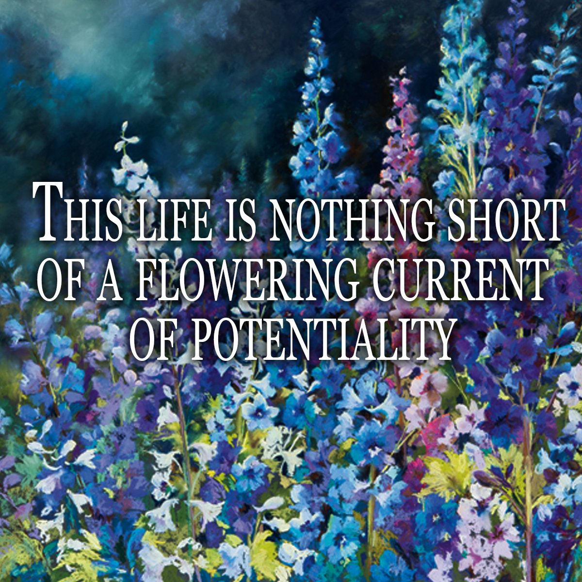 A reminder to care for and grow your dreams. We <a href="/EastWestBooks/">East West Bookshop</a> are so grateful to have the resources, tools and accessories to help you do that. Open Mon-Sat: 11am-10pm and Sun: 11am-9pm.