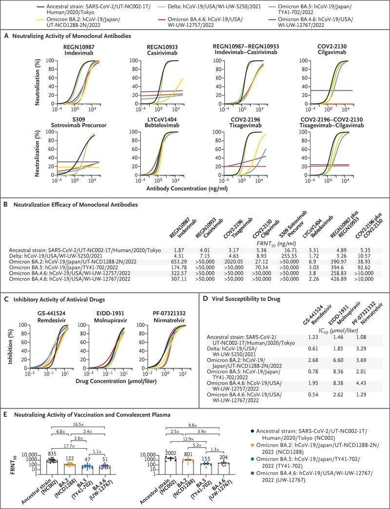 boticariors's tweet photo. Según estos datos de @NEJM #remdesivir, #molnupiravir, #nirmatrelvir así como mABs como #bebtelovimab o #imdevimab mantendrían cierta actividad IN VITRO para BA.4.64
https://t.co/wBoGVuzBrL https://t.co/C16bQUMC9N