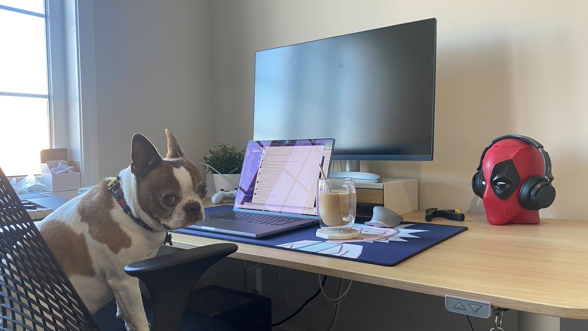 Milo has a major case of the mondays. Good morning from Fady+Milo in Toronto!