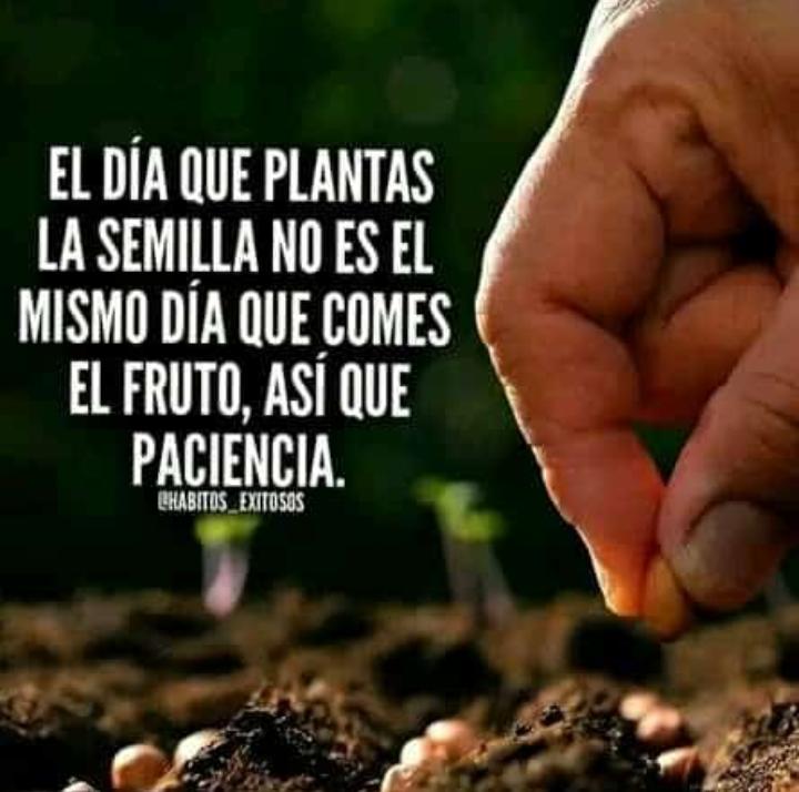 Para ti?