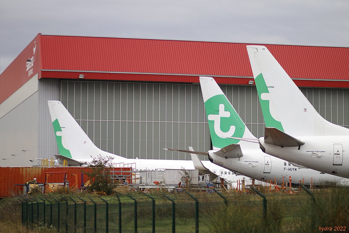 hydra_66's tweet photo. ce lundi à #PerpignanPGF #TransaviaFR #B737 https://t.co/e7Pkf58leH