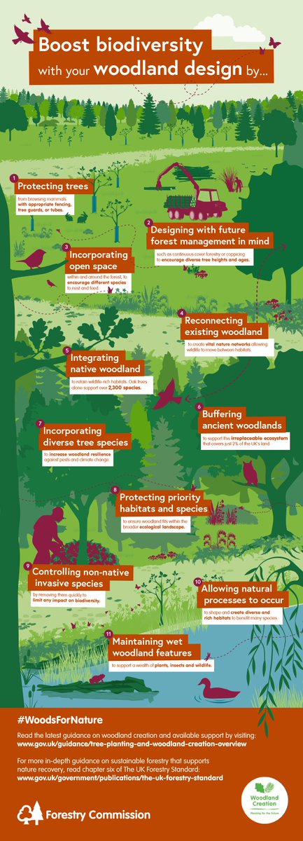 UKReforestation's tweet photo. Thinking carefully about the potential benefits of #woodlandcreation project design can make a big difference to #biodiversity locally and across the wider #forestlandscape as well as to #resilience, as this infographic from #forestrycommission makes clear. https://t.co/zadK4zDnmP