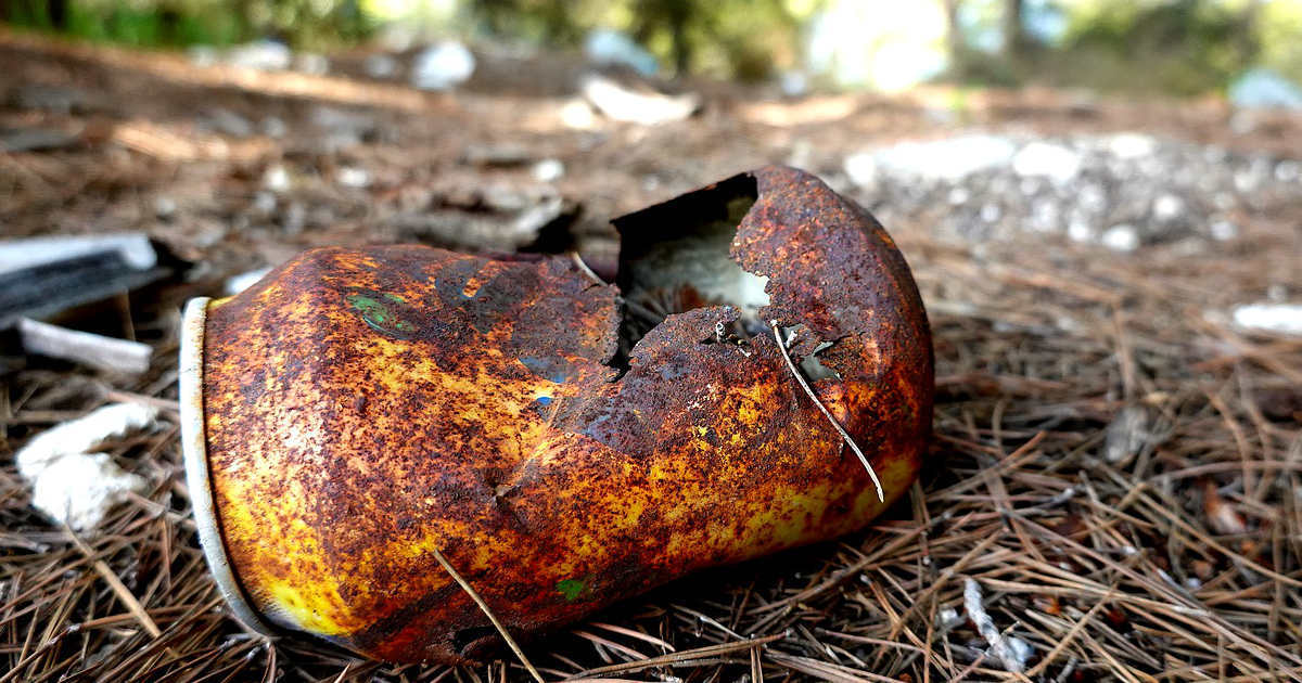 Wir möchten es immer und immer wiederholen. Damit unsere @saechs_schweiz so wunderschön bleibt, bitten wir euch, eure Abfälle nicht liegen zu lassen, sondern wieder mitzunehmen und entsprechend zu entsorgen! 🗑 Dazu gibt es übrigens eine Kampagne  bit.ly/4fortheforestK…