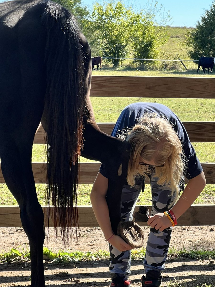 LordFamilySB's tweet photo. Lexy &amp; Katee volunteering at their favorite non-profit - Equine Heart Healers Ranch - who provides Equine Activities to Veterans, 1st Responders, Active Military, Children and others dealing with PTSD or other life altering events at NO COST! #11FlyHigh https://t.co/kM88MGx3Xh