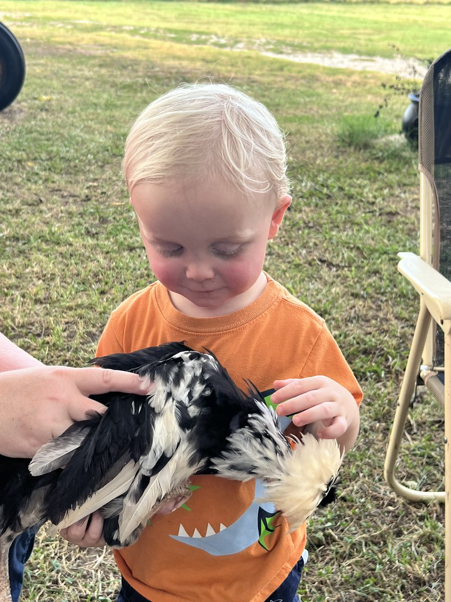 LordFamilySB's tweet photo. Lexy &amp; Katee volunteering at their favorite non-profit - Equine Heart Healers Ranch - who provides Equine Activities to Veterans, 1st Responders, Active Military, Children and others dealing with PTSD or other life altering events at NO COST! #11FlyHigh https://t.co/kM88MGx3Xh