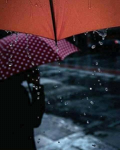 سترګې له هغه چا مه اړوه چې مینه یې درسره کړې، پام یې درباندې کړی او تل یې یادېدلې یې، ځکه یوه ورځ به راوېښ شې او وبه ګورې چې د ستورو د شمېرولو پر وخت دې سپوږمۍ له لاسه ورکړې ده.

ـ😓😓