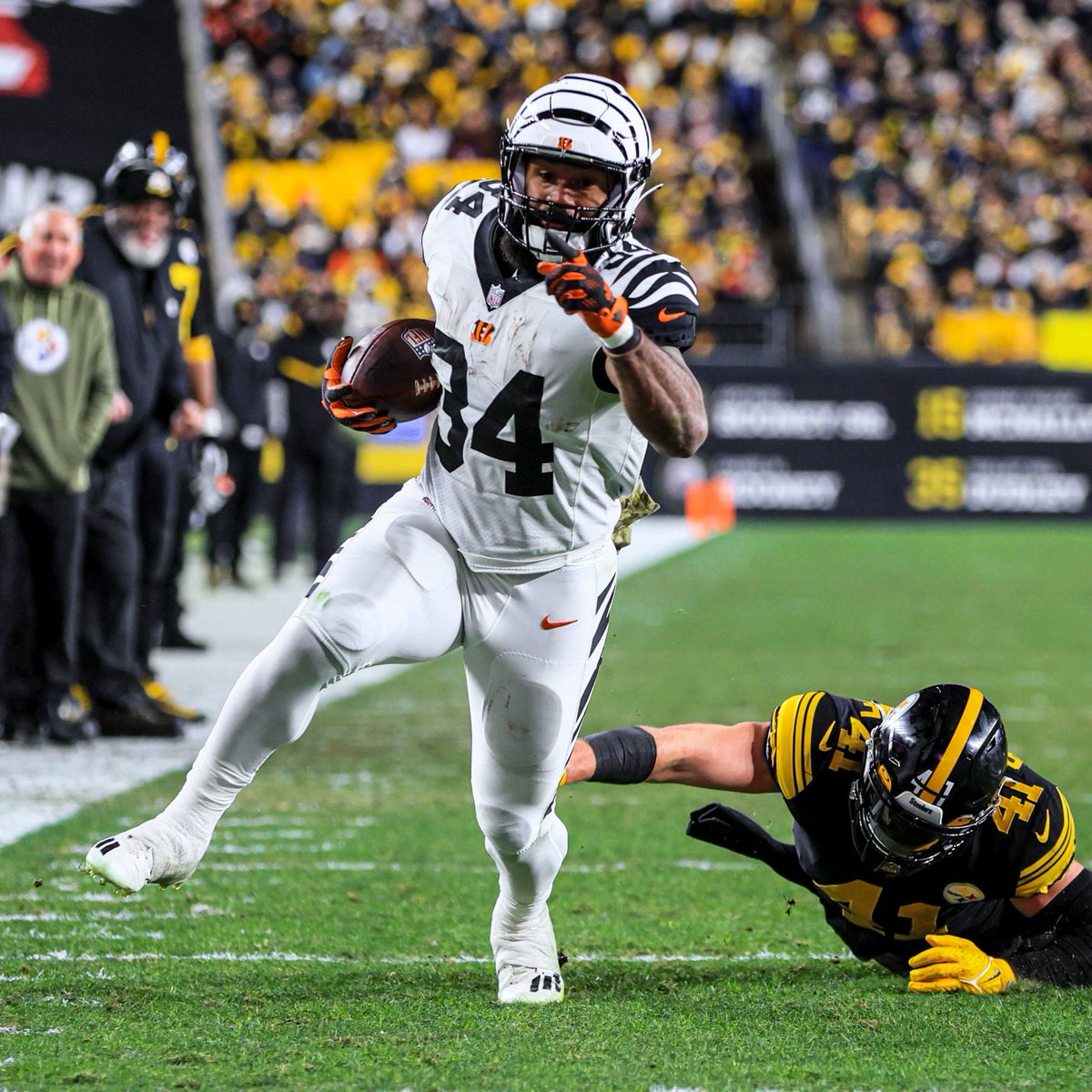 perine cincinnati bengals