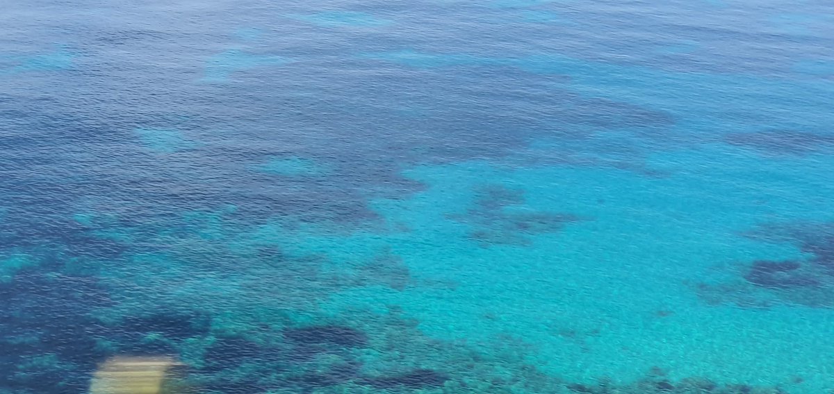 IsraelItaly's tweet photo. 🌊 🏝️ waiting for #Sardinia...watch this space
#sea 🌊
#culture 🏫
#food 🐟
#wine 🍷🍇
#market 🏢
#luxury 🎇 https://t.co/aNxiHwqsAo