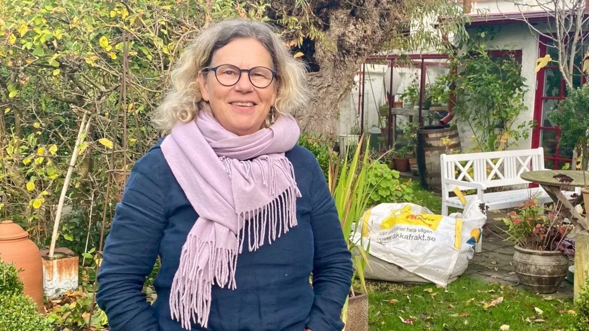 Meny i P1 tweet media