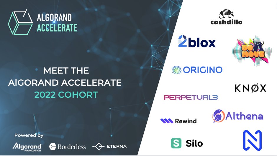 Algorand Accelerate tweet media