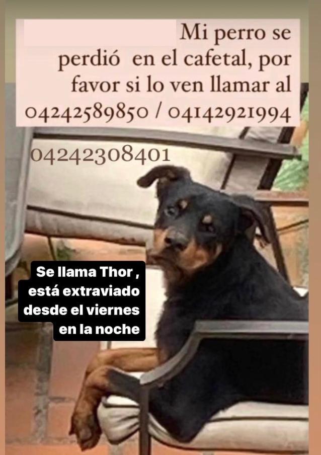 Marié 🇻🇪🇪🇦 tweet media