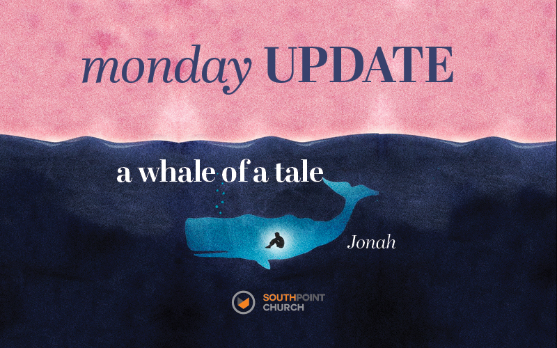 Monday Update - 21 November - mailchi.mp/69b2205691d2/m…