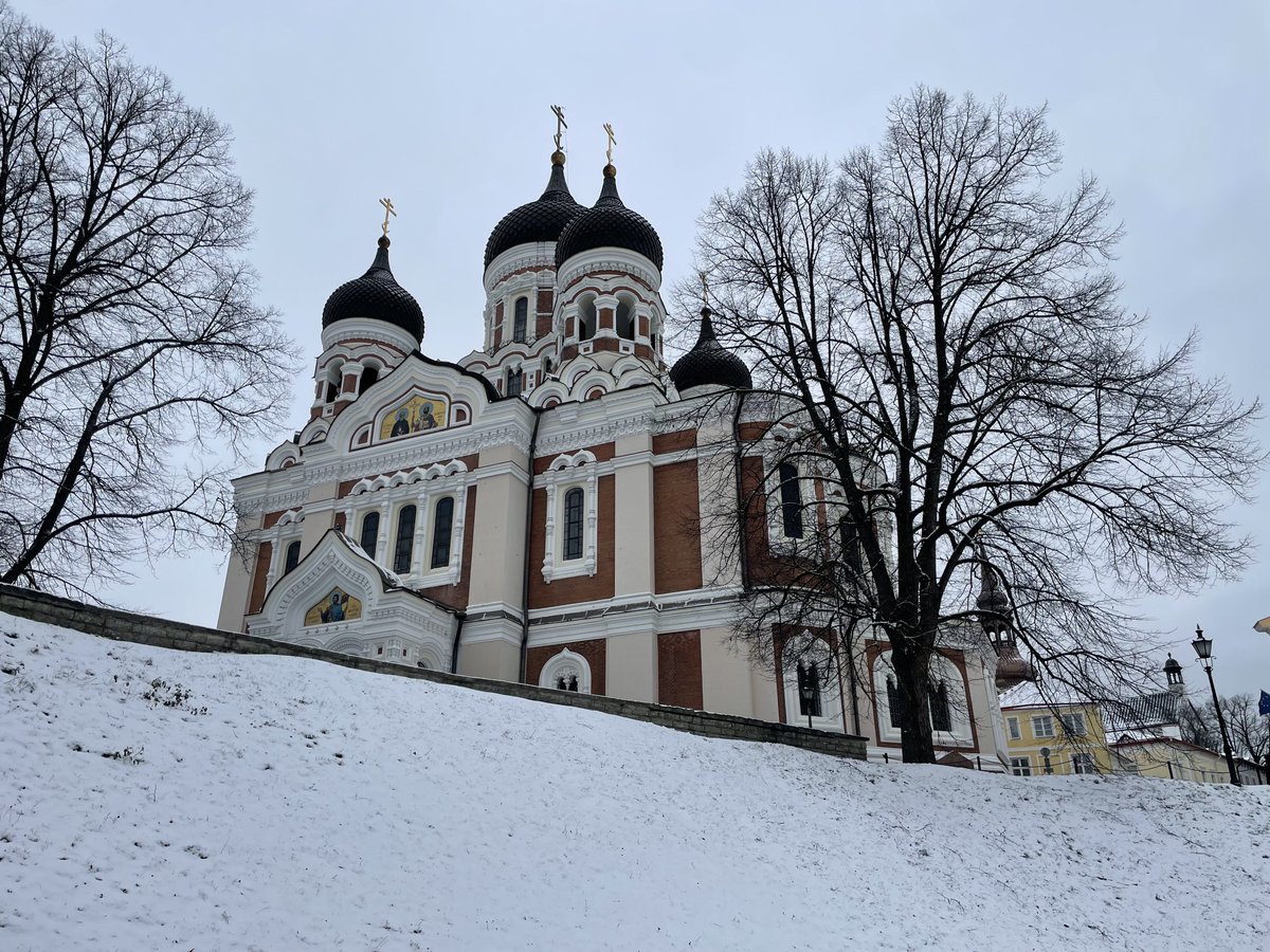 Barra Best tweet media