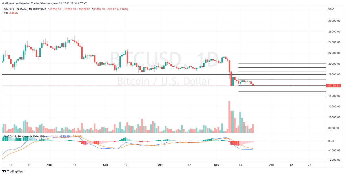 Phant⛩️ tweet media