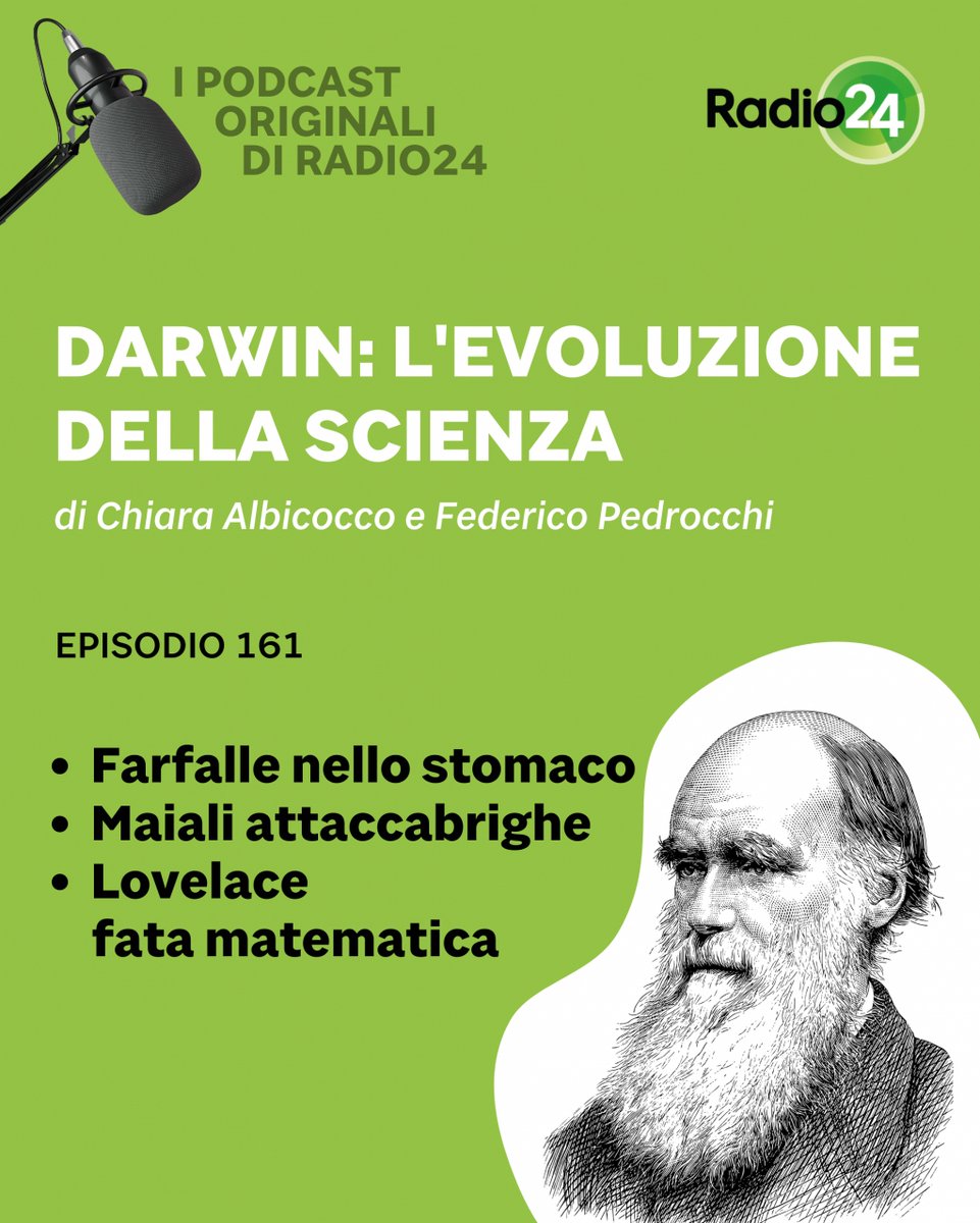 Radio 24 tweet media