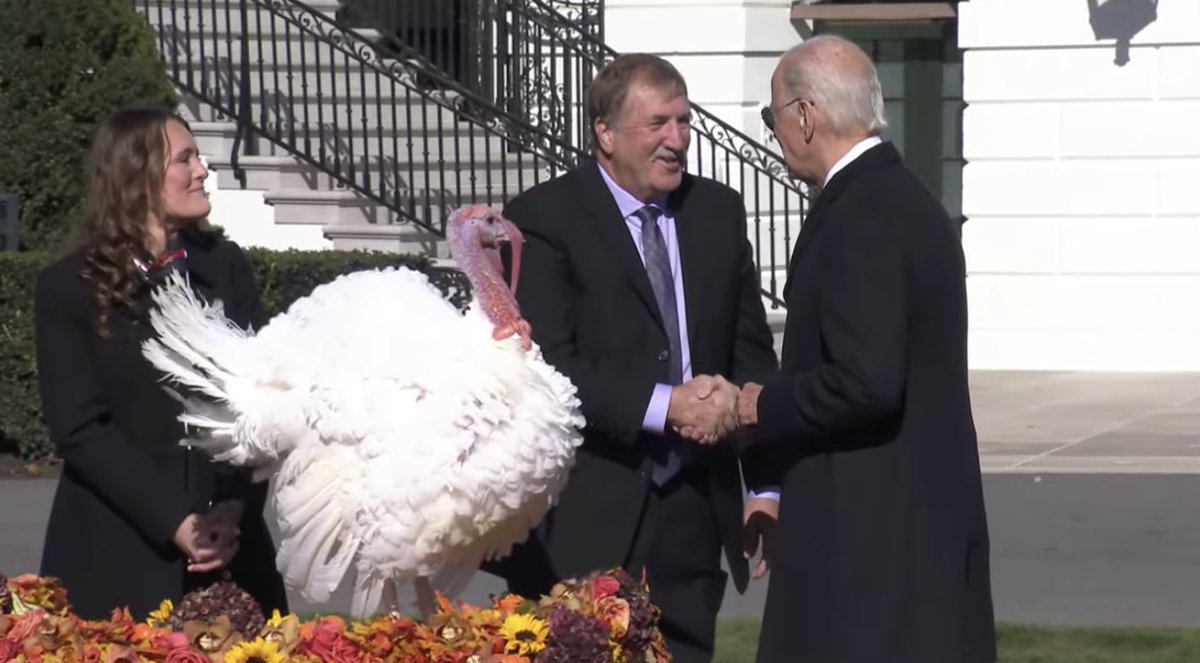 Meg Wagner tweet media