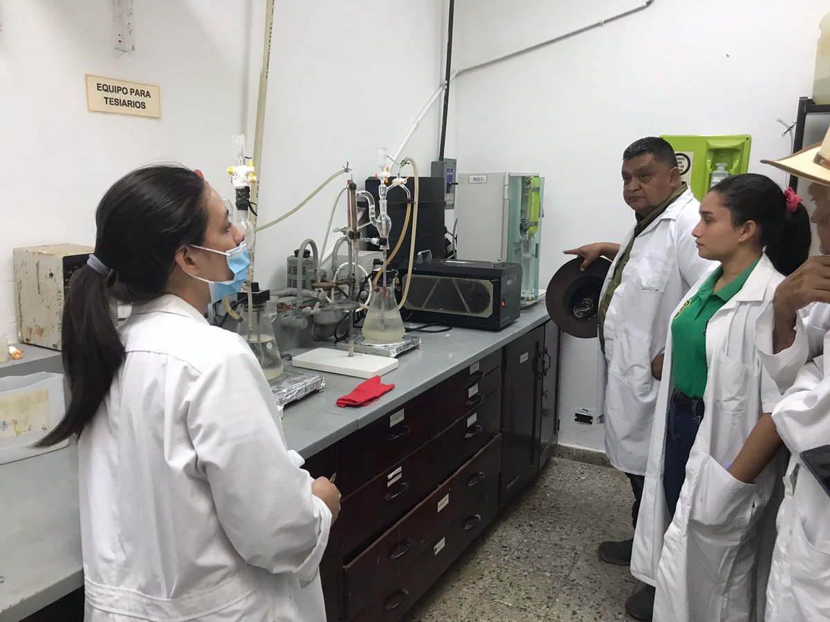 yoro_corridor's tweet photo. There's more than just sustainable #coffee in the #YoroBiologicalCorridor ... These are soil samples arriving at the lab for carbon sequestration analysis!
They are being studied to determine CO2 sequestering capabilities on #IntegratedOpenCanopy coffee farms.
#Groundtruthing https://t.co/SaBEhEMdIe