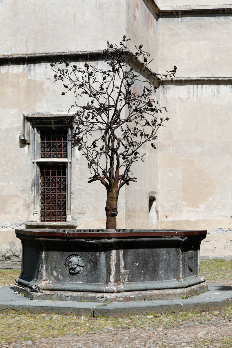 CultureVdA's tweet photo. #21novembre Per la #giornatanazionaledeglialberi come non soffermarsi su un #albero simbolo di forza e rinascita?
E' la Fontana del #Melograno del #castello di #Issogne!
#castles #trees #Autumn @Valle_dAosta @castelliditalia @MiC_Italia @guichardaz https://t.co/S2C7iyTqdR