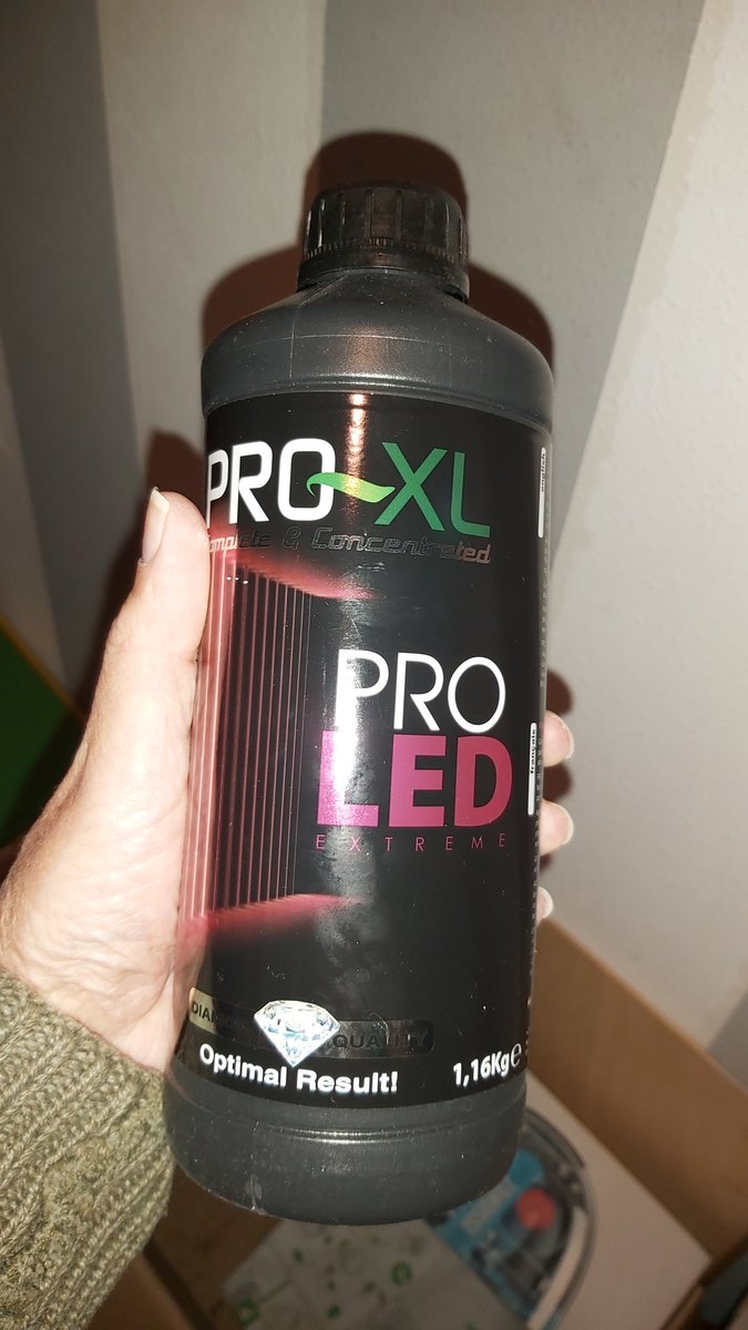 AdrycManellson's tweet photo. ¿ Por qué esta diferencia de tamaño entre dos #MataróBlue @KannabiaSeeds germinadas el mismo día en #Sust #Inerte bajo #ThePureLed48oPro @ThePureFactory_ Verde Mundo ?.
Fácil, una ha recibido sus dosis de #ProStar y #ProLed @ProXL_Spain y la otra no.
Powered by @DPlantasur..🧚♂️😎 https://t.co/T0ql4ojtSr