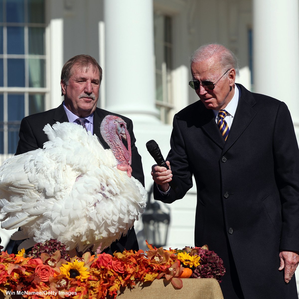 ABC's tweet photo. Meet Chocolate and Chip — the turkeys Pres. Joe Biden pardoned at the White House today.

More photos of turkey pardons throughout the years: https://t.co/ujODKvhXc3 https://t.co/JMJt4K01qh