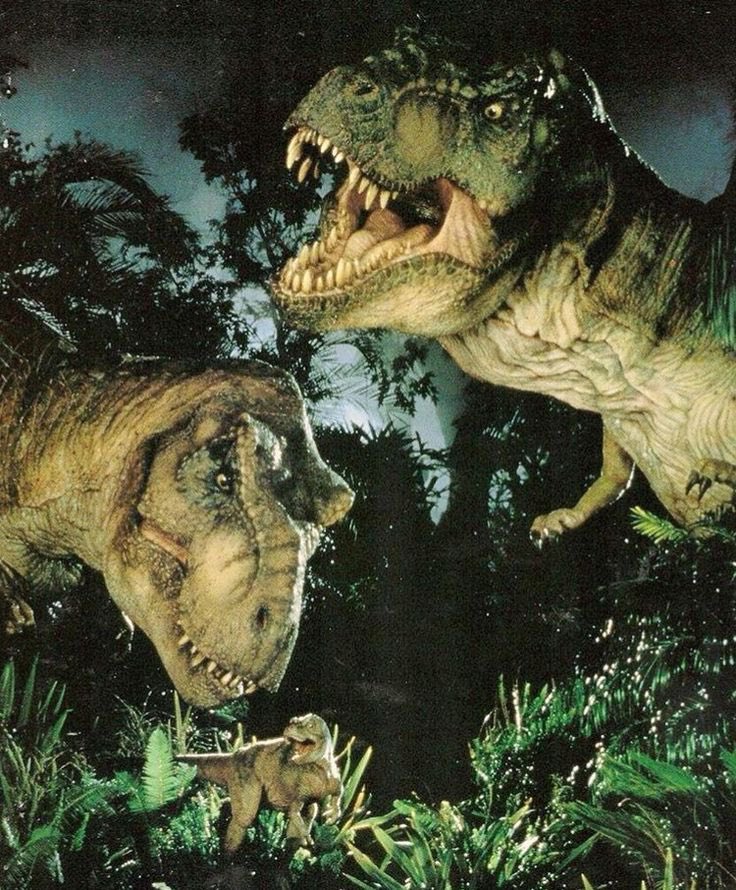 RexPaddock's tweet photo. Perfect family
#JurassicPark
#tlwjp #trex https://t.co/VQibDSugYG