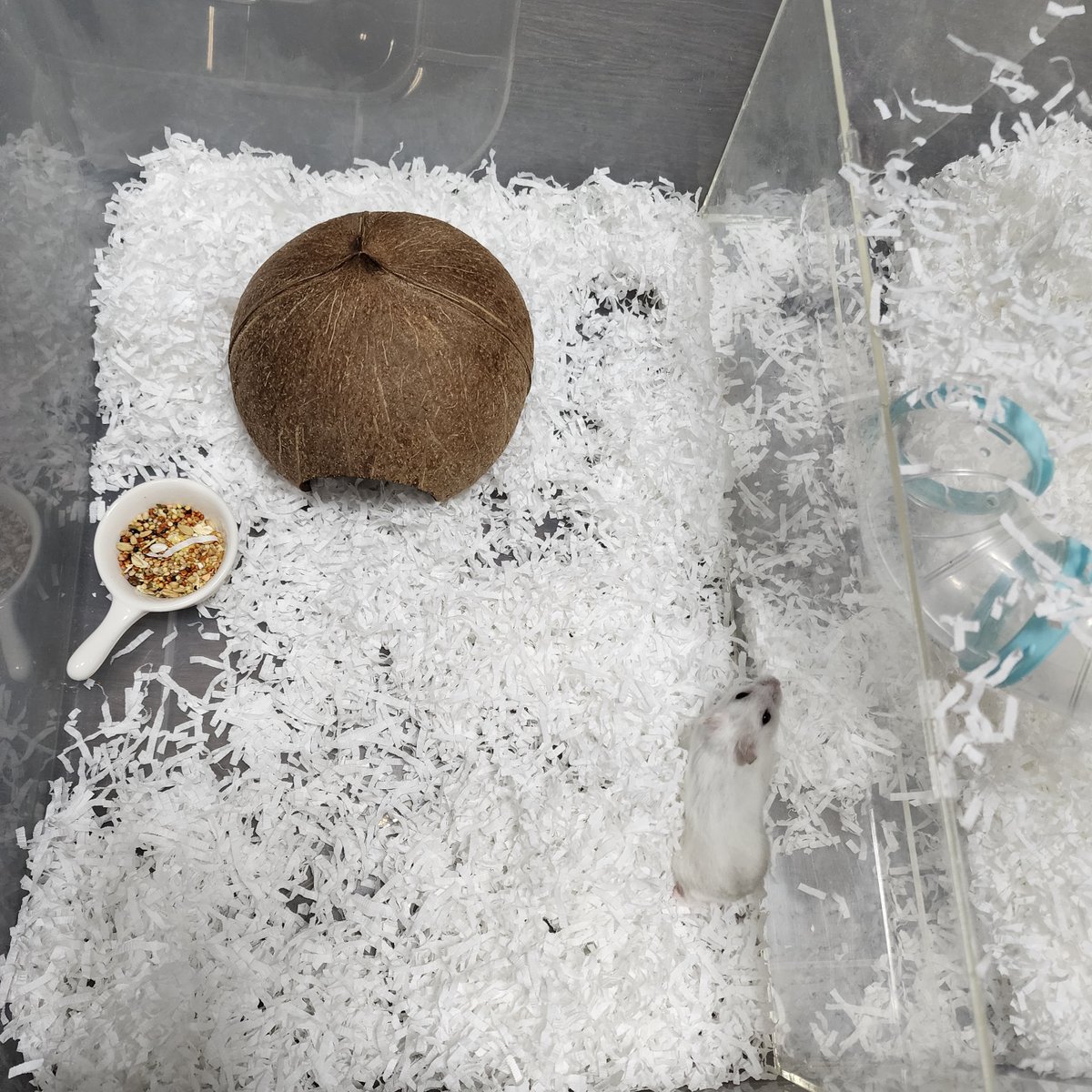 너무 돌아다녀서 결국 절반 나눴어요.. 
일단 당분간은 좁게 살아라 나나야.. 제발