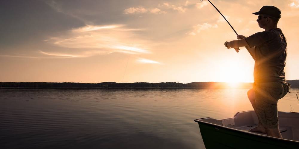 Rods and Lures tweet media