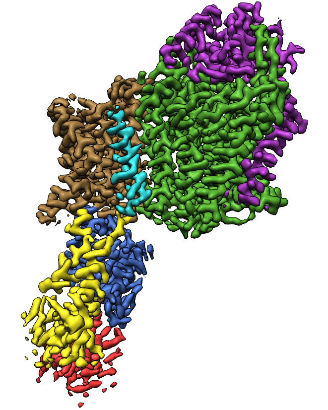 dls4n's tweet photo. I'm looking for a postdoc to work on the ATP-dependent pump KdpFABC. We use biophysical tools like cryo-EM, transport, binding assays, smFRET to understand structure-function relationships and energy coupling. https://t.co/Mh19PKDTT7. 🙏spread the news or reach out with questions https://t.co/Wb0St6lWmG