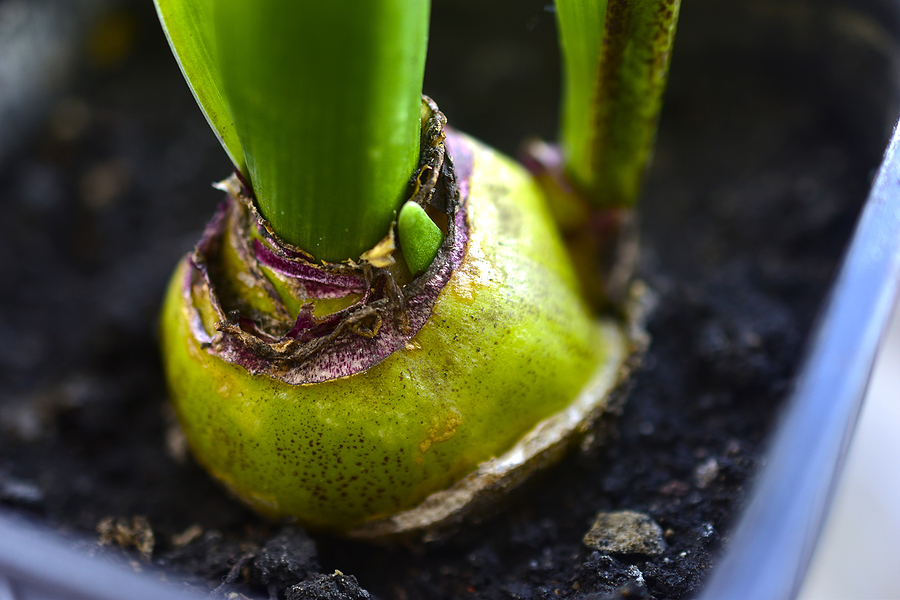 The Power Path tweet media