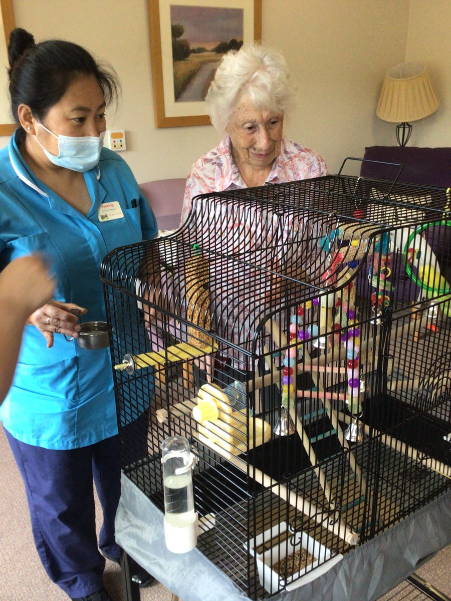 CareSouthUK's tweet photo. Talbot View had a very exciting delivery this month... A warm welcome to the new budgie residents, 11-month old Mable (white) and Joey (green)! 🐦
We can't wait to see what the pair get up to in their new home.
#TalbotView #Budgies #CareSouthUK #CareSouth #Residents https://t.co/9q4BzK4z5O