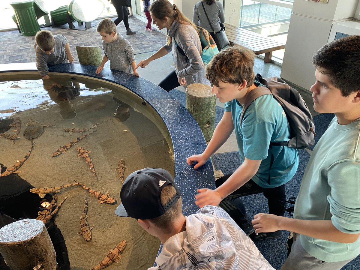 Malia Heimbach tweet media