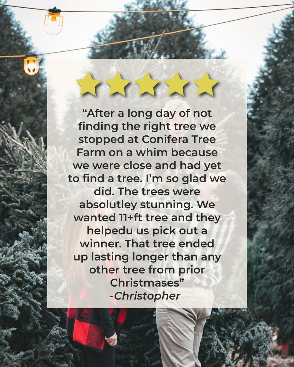 We've been telling you all about the perks of getting a real tree at Conifera Tree Farm, but today, we are going to let some of their past customers speak! Check out these raving reviews! Start planning your visit ⤵️ bit.ly/3EWUwOo