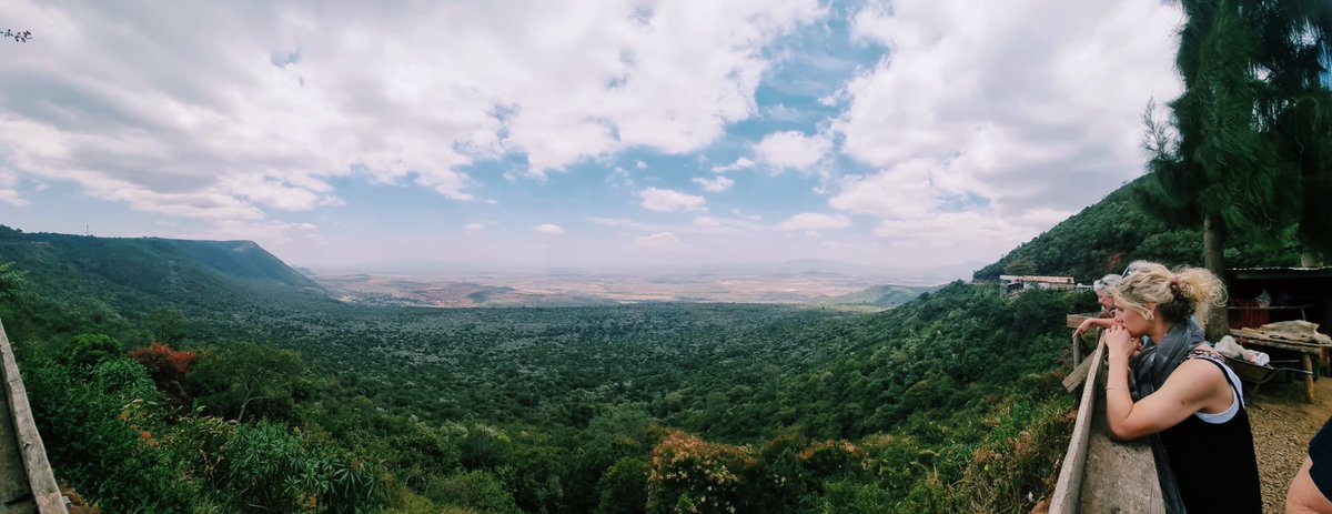 Dream Challenges tweet media