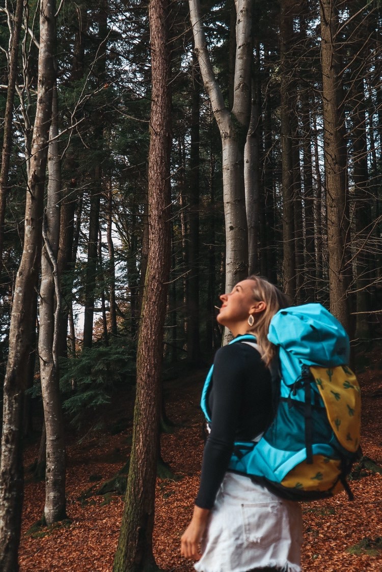 SunDrift tweet media