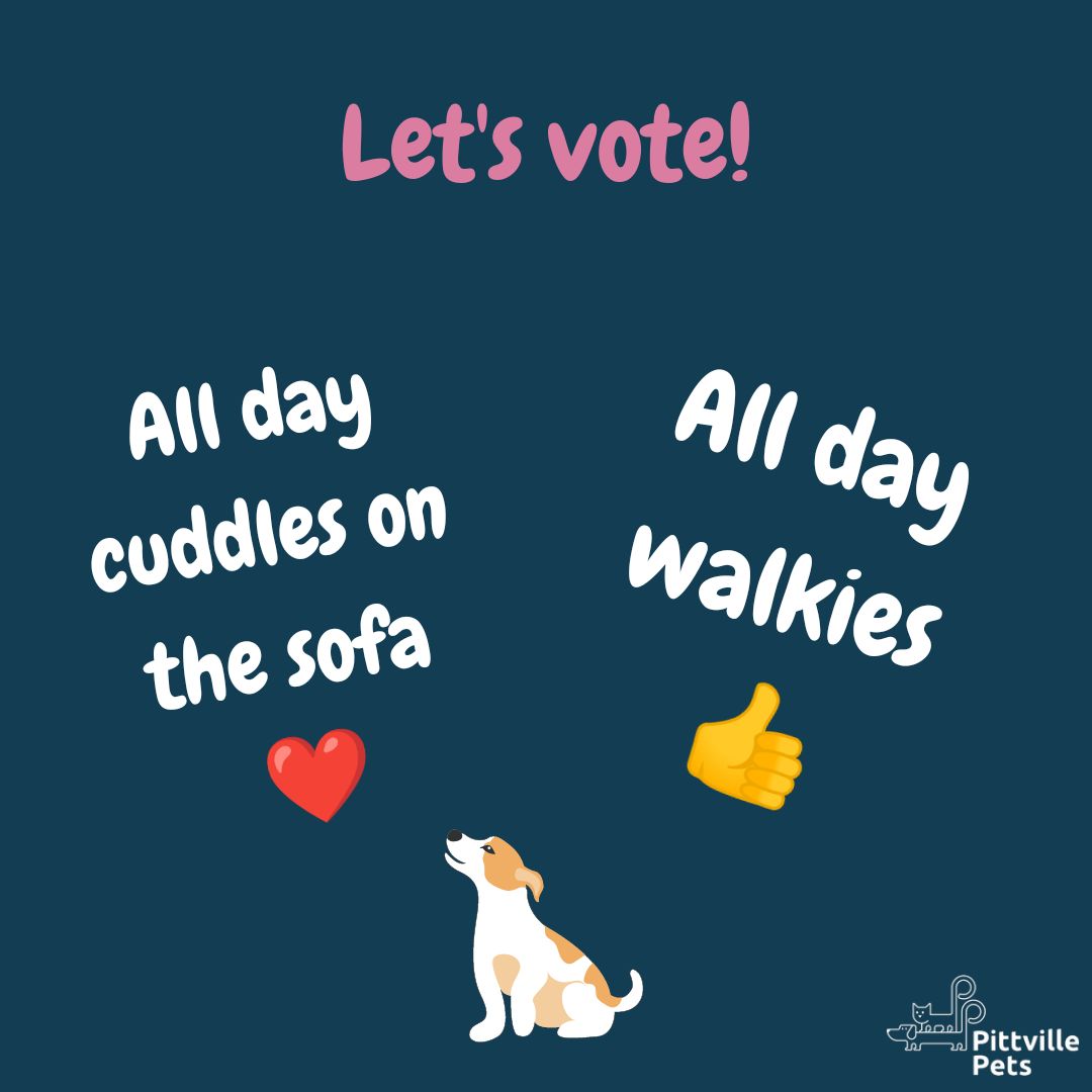 Pittville Pets and PAWS CIC tweet media