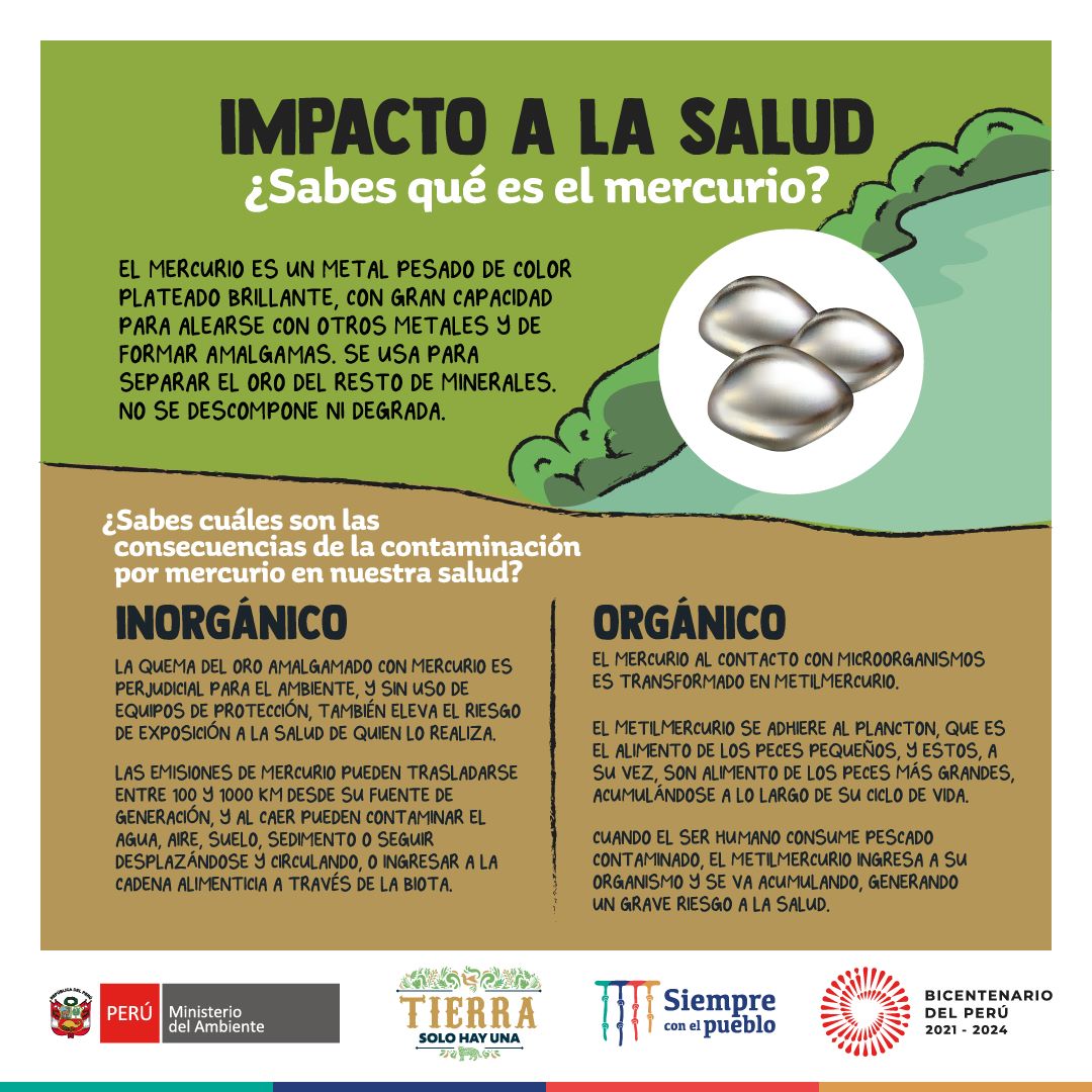 MinamPeru's tweet photo. 📢 ¿Conoces cuáles son las consecuencias de la contaminación por mercurio en la salud de las personas?
#MineríaFormalyDesarrollo
#TierraSoloHayUna 🌎 https://t.co/vF2o30FQY1