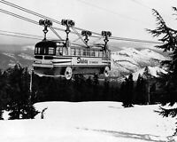 Mount Hood Skiway Tram Photograph Government Camp Skiing Oregon 1955 8x10 Print
ebay.com/itm/3142345420…
#MountHood #Oregon #Tram #OldPhoto