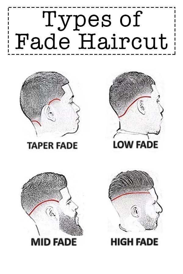 dlccosmetics's tweet photo. Battle of the Fades 👑
What's your favorite fade?
📍This week Black Friday sale get up to 70% discount. Shop at https://t.co/XTUviIgkez
#fade #taperfade #lowfade #barber #blackfriday #highfade #midfade #haircare https://t.co/tDk6mjPTHE