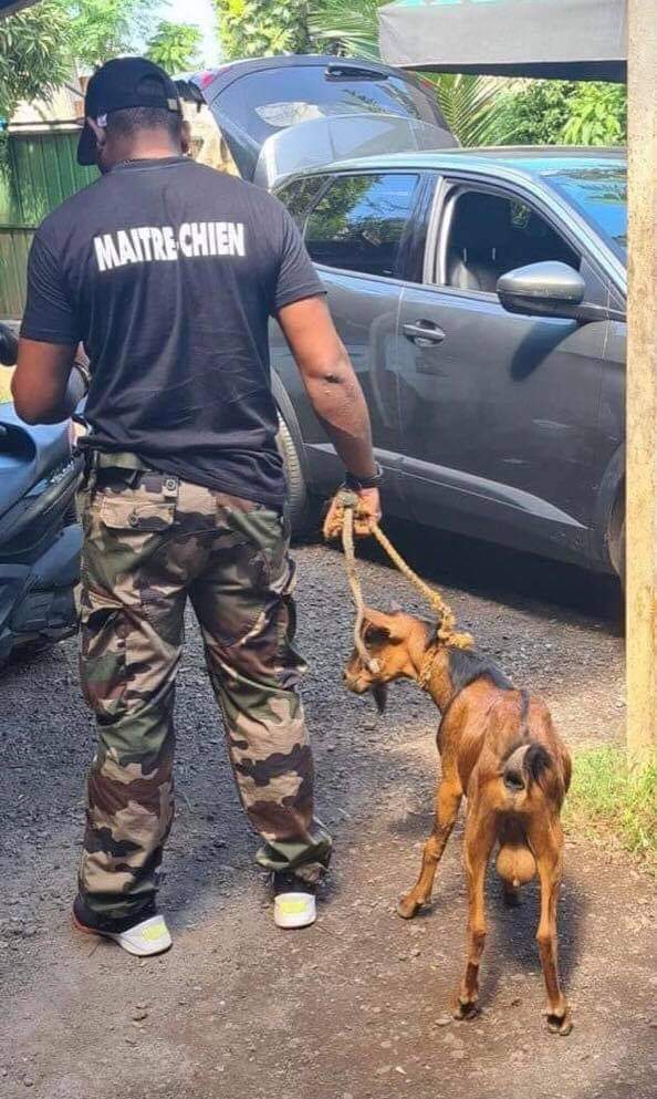 𝑷𝒓𝒖𝒏𝒆𝒍𝒍𝒆𝒔 👠🌸 tweet media