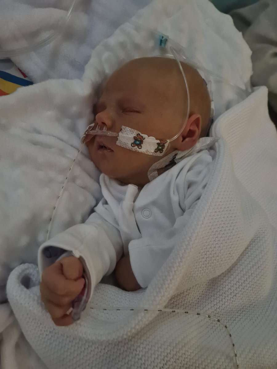 Hello everyone meet Georgie, my best mate, strongest person I've ever met our little fighter ❤ feeling so blessed, he's been through hell and got a bit to go but he's doing ok, he's still on oxygen as lungs still need help but he's getting better slowly. Love you mate xx